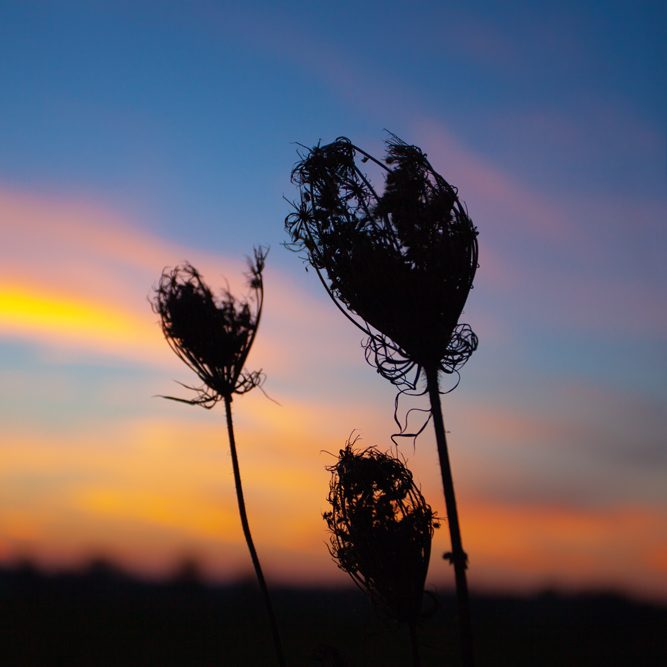 <h4>MOSLEM MORNING HYMN</h4>
<i><small>by Abdullah Quilliam</small></i><p>&nbsp;</p>
"Regularly perform the prayer at daybreak,
for the prayer is borne witness unto by angels&hellip;
And say, O Lord, cause me to enter with a favourable entry, and cause me to come forth with a favourable coming forth; and grant me from Thee an assisting power"<br/>
<small>Sura 17, Koran</small><br/>
"Oh, Allah, for another night
Of peaceful sleep and rest,
For all the joys of morning light,
Be Thou forever blest.
Here on this new born day we give
Ourselves anew to Thee;
That as Thou wishest we may live,
And what Thou willest be.
Favour us with Thy blessing, God,
As we this day begin;
Preserve us from all evil, Lord,
And keep us free from sin.
Assist us by Thy mighty power;
Thy helping aid us lend,
To serve Thee from this early hour,
Until the day shall end.
Whate'er we do, great things or small,
Whate'er we speak or think;
Thy glory may we seek in all,
And from no duty shrink.
Merciful God, to Thee we pray
Us to protect and bless,
And keep us by Thy grace alway
In paths of righteousness."
<h4>The Moslem World, May 1893</h4>
